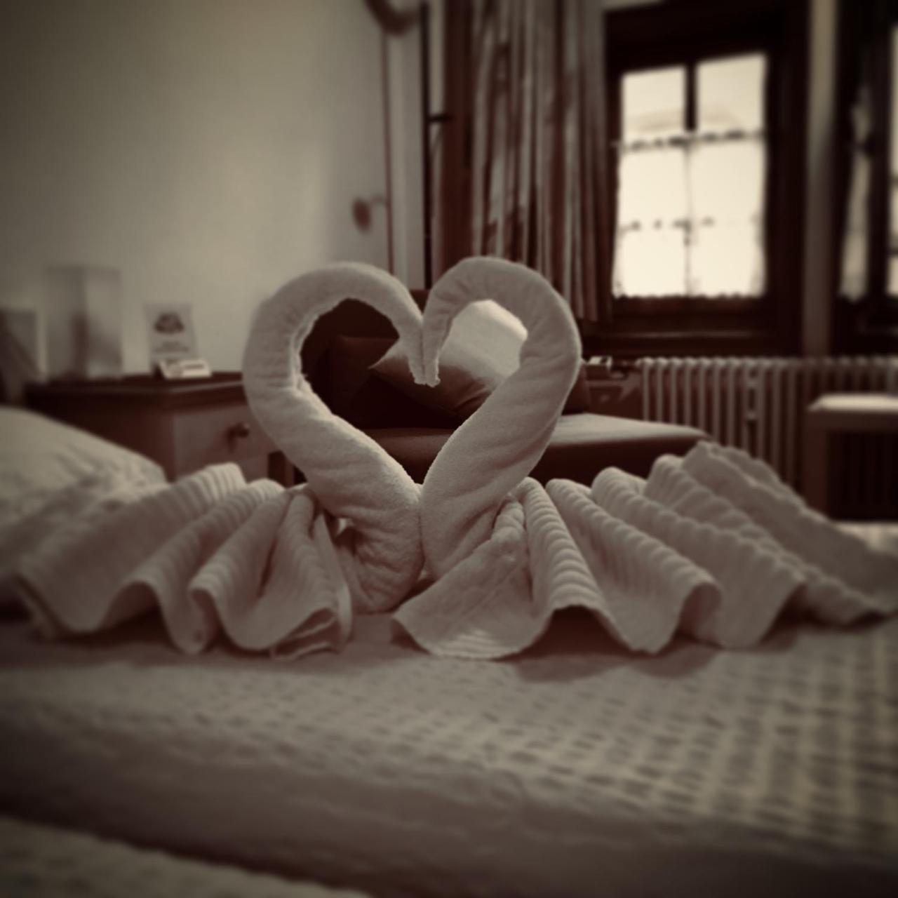 Hotel Im Hochzeitshaus Schotten Extérieur photo